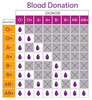 Easy-Peasy Blood Type Chart